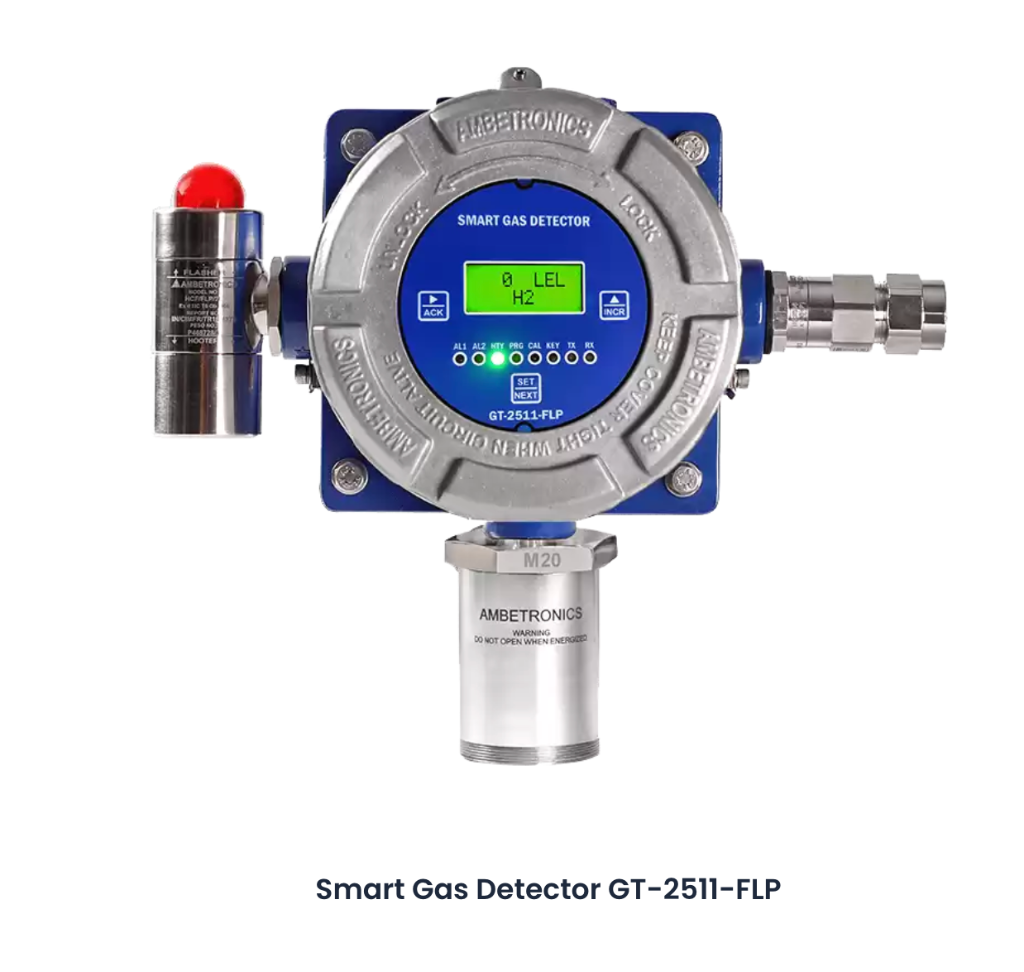 Fixed Gas Detector